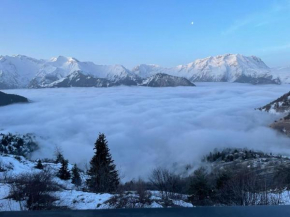 Appartement entièrement rénové, vue exceptionnelle Huez